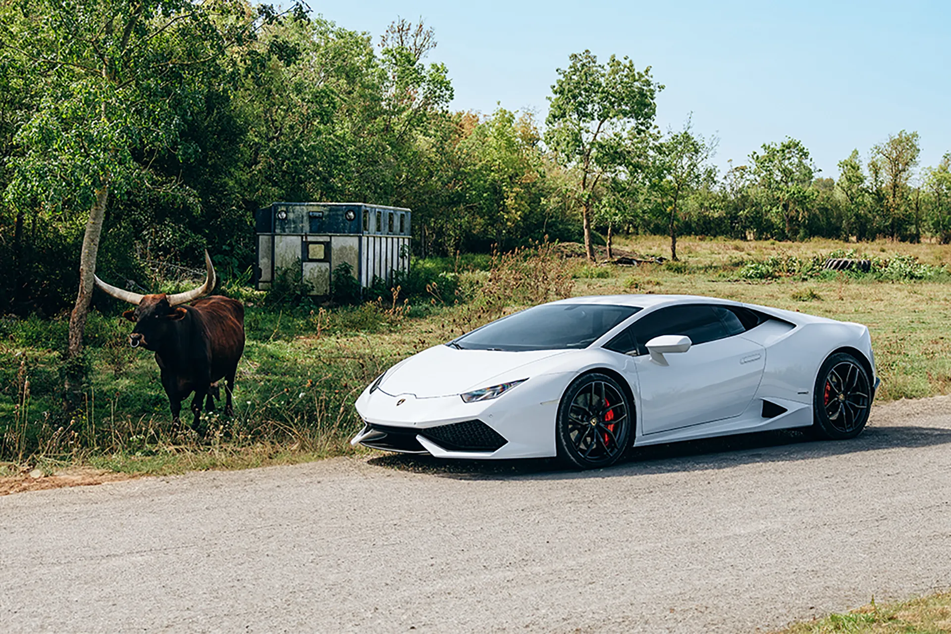 Le Hangar Bordelais, spécialiste dans la vente de Lamborghini d'occasion à Bordeaux